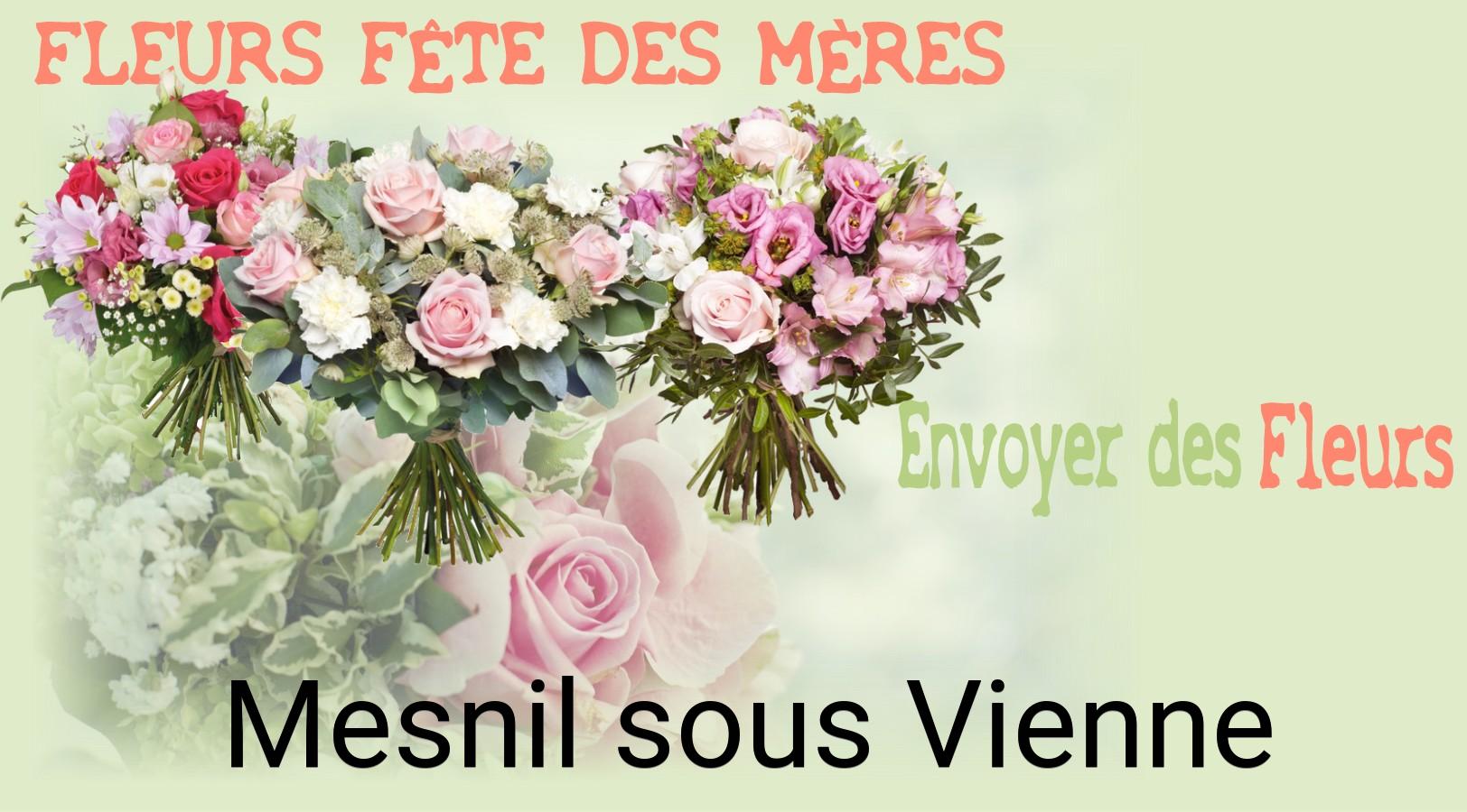 Bouquet de Fête des Mères livré à Mesnil-sous-Vienne